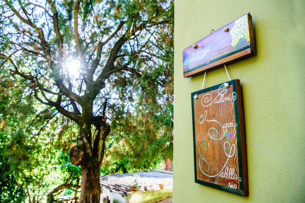 Acasamia Resort San Cipriano Picentino エクステリア 写真